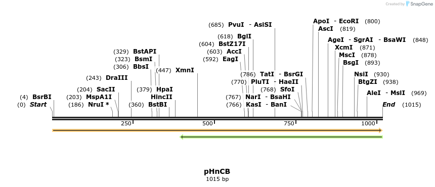 82739_map
