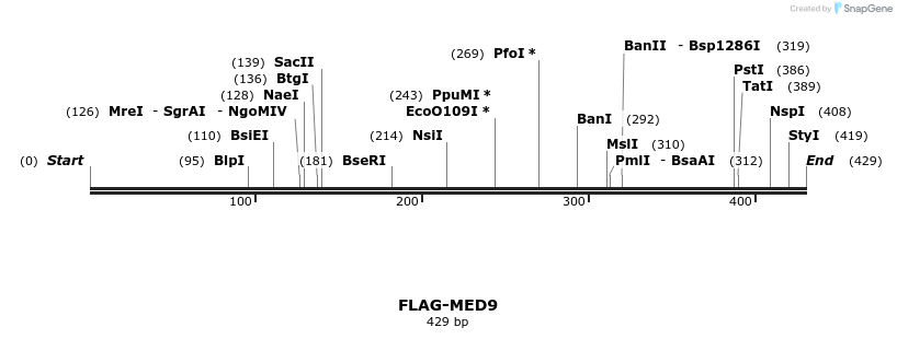 8274_map