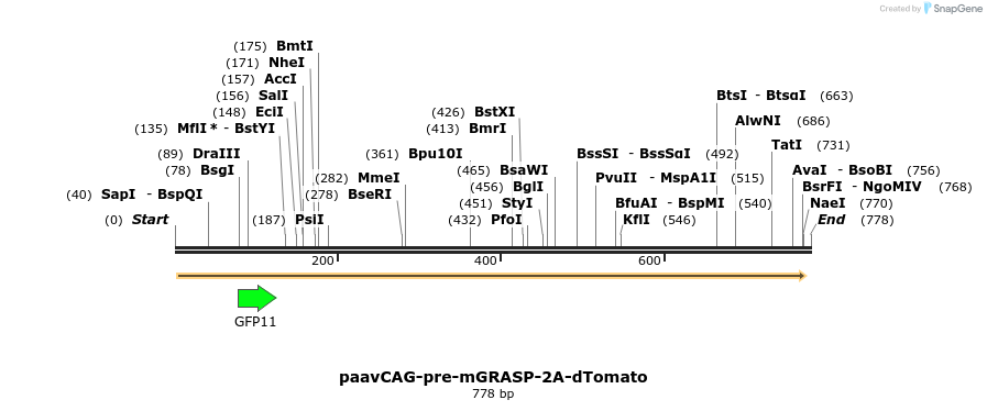 82742_map
