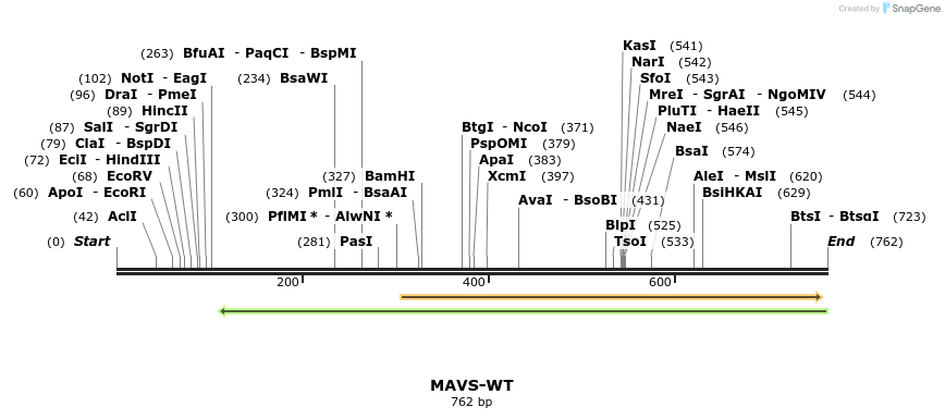 82744_map