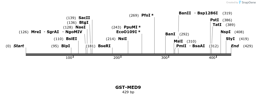 8275_map