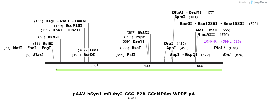 82758_map