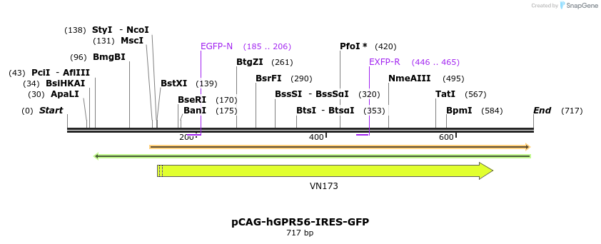 82759_map