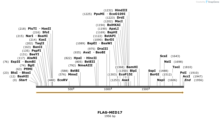 8276_map