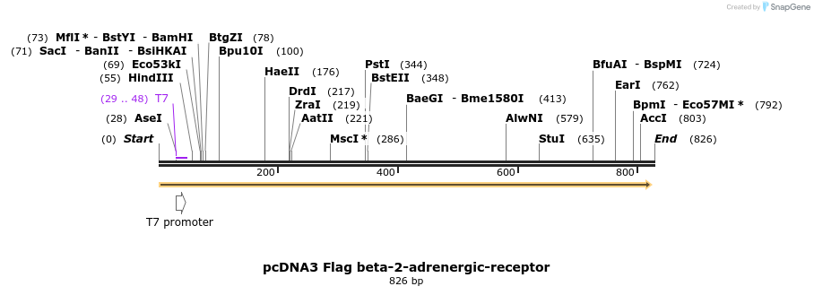 82767_map