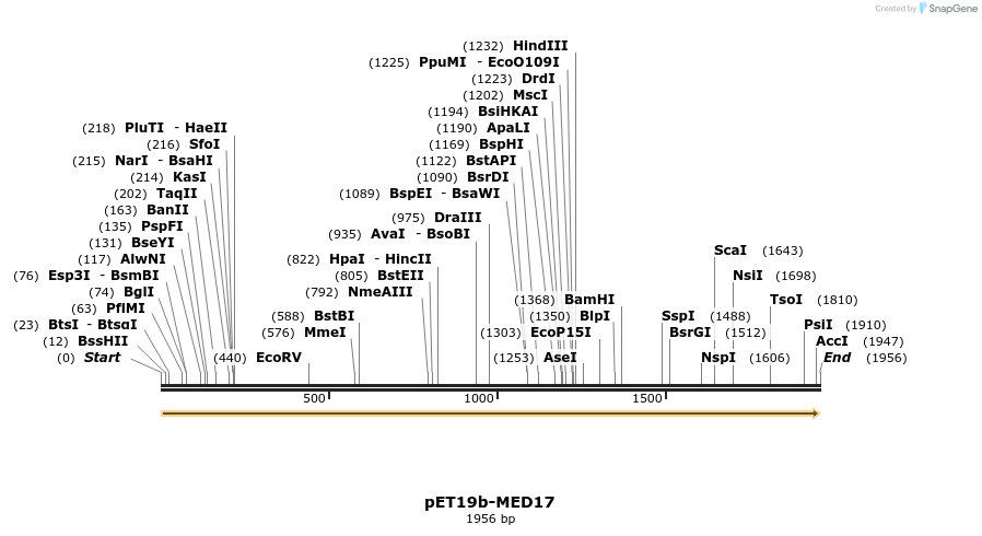 8277_map