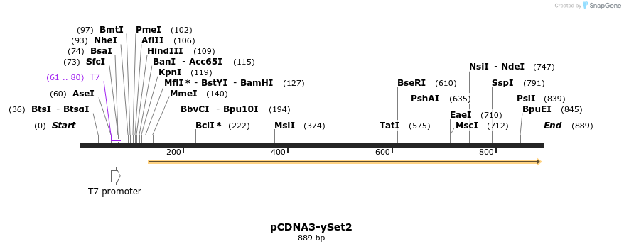 82784_map