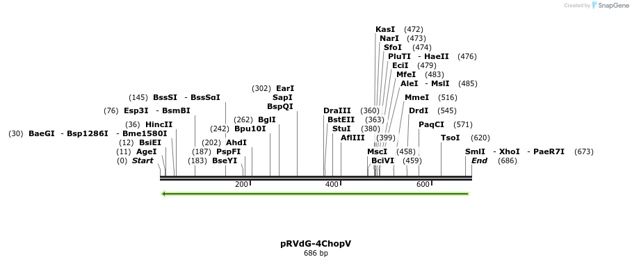 82795_map
