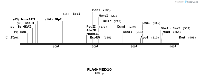 8280_map