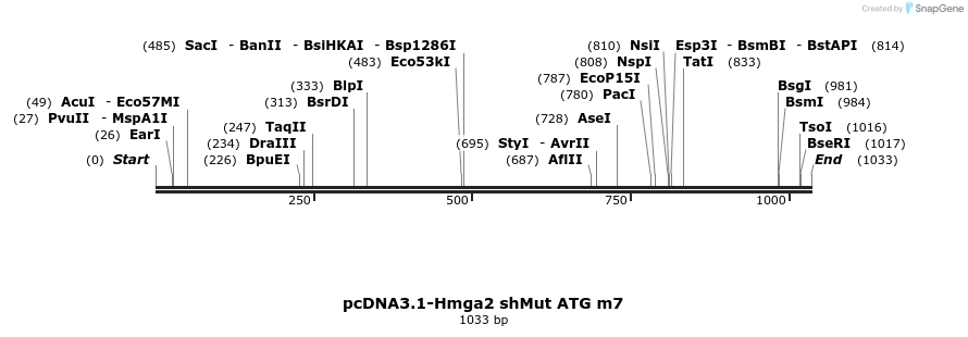 82803_map