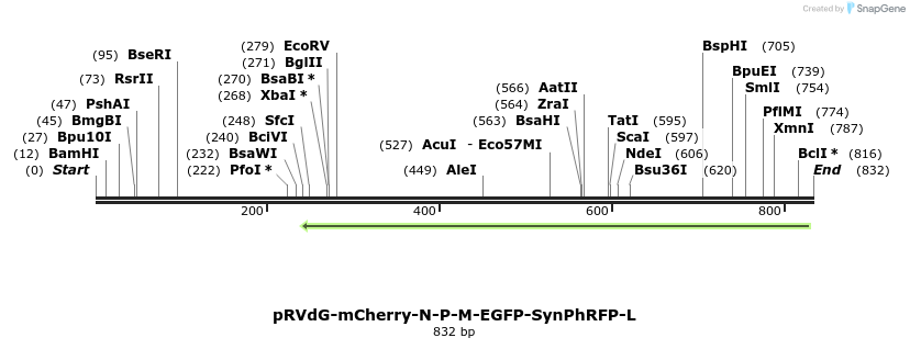 82813_map
