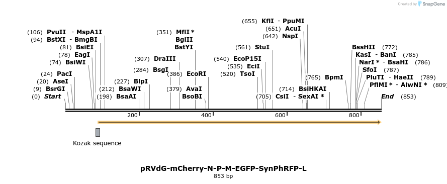 82816_map