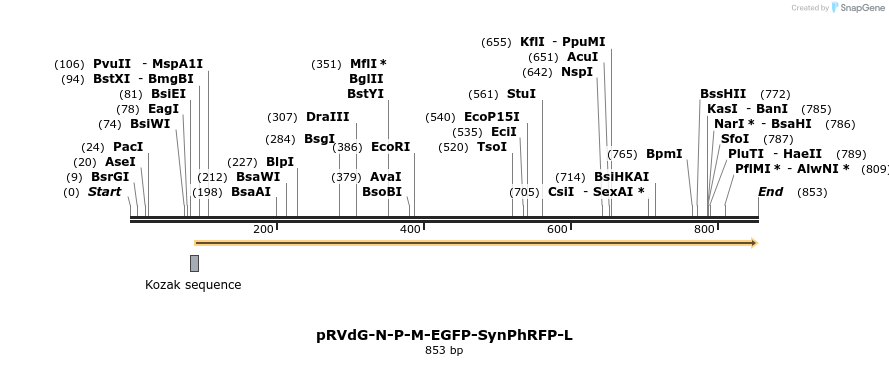 82818_map