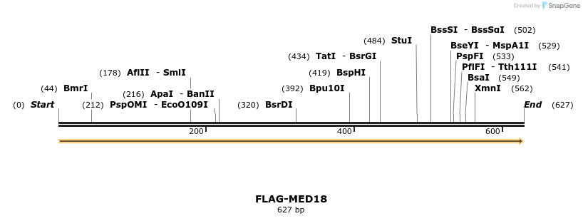 8282_map