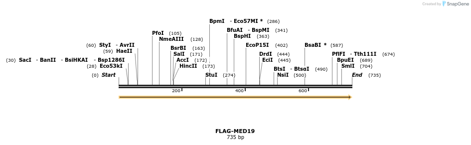 8283_map