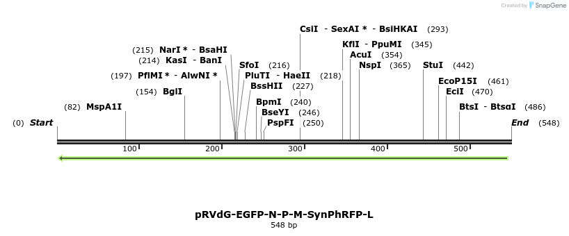 82836_map