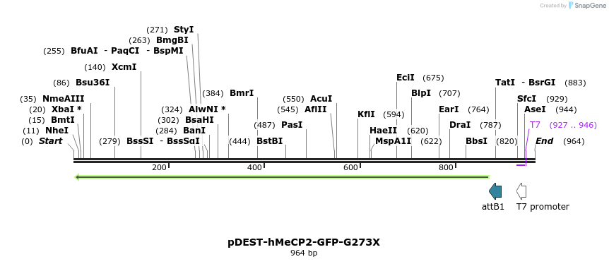 82840_map