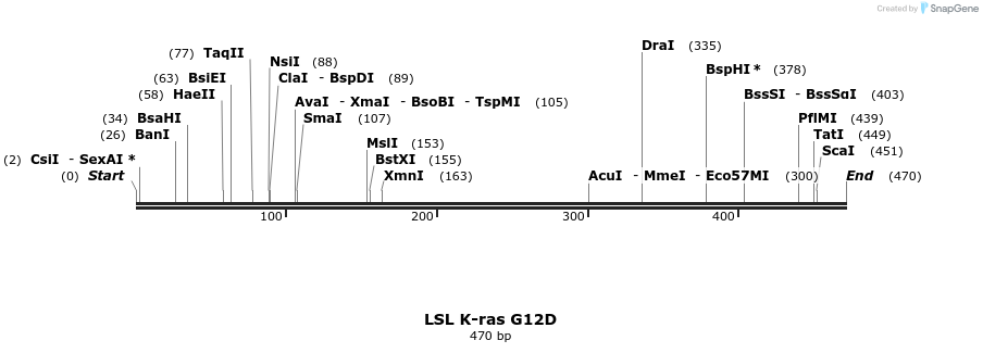 82842_map