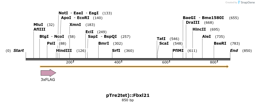 82843_map