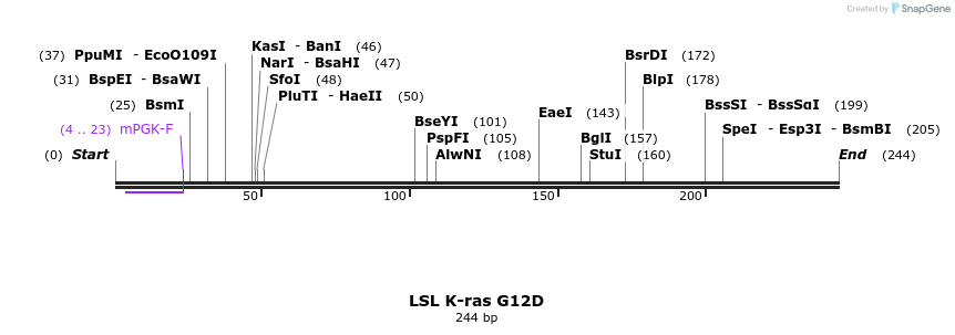 82845_map