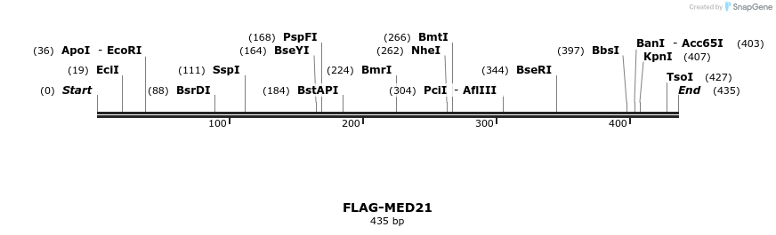 8285_map