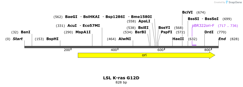 82851_map
