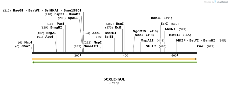 82857_map