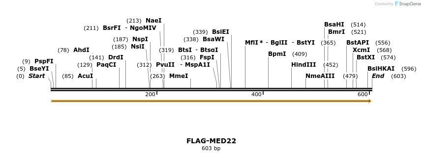 8286_map