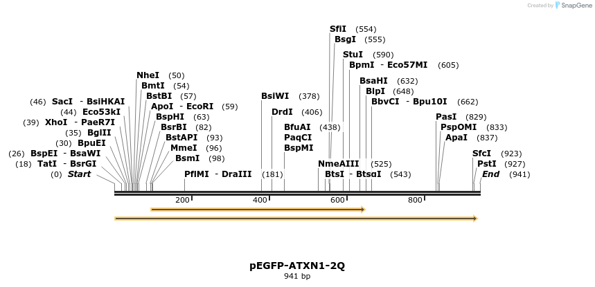 82870_map