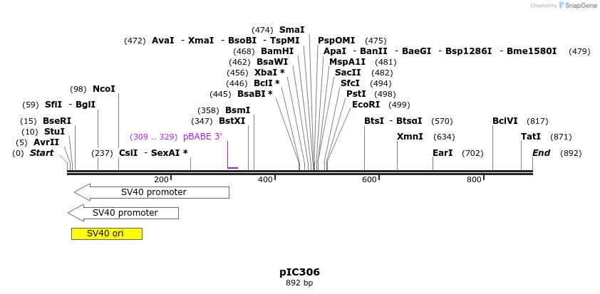 82873_map
