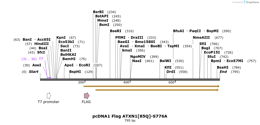 82877_map