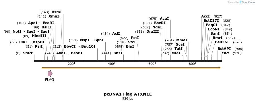 82881_map