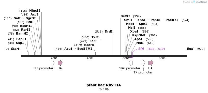 82888_map