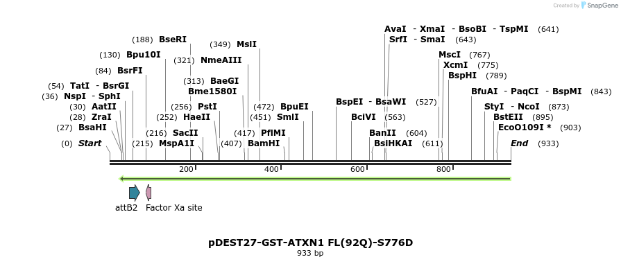 82890_map
