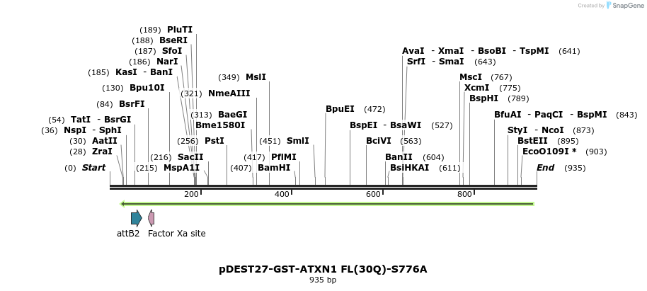 82898_map