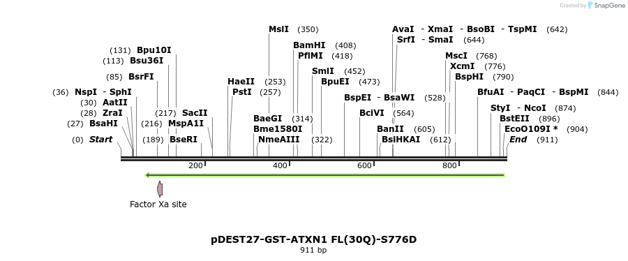 82900_map