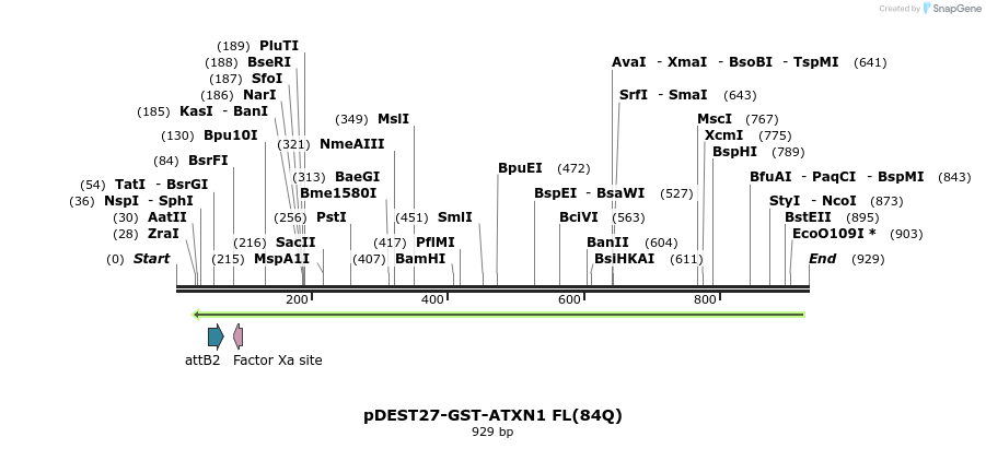 82902_map