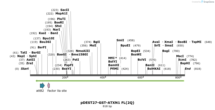 82905_map