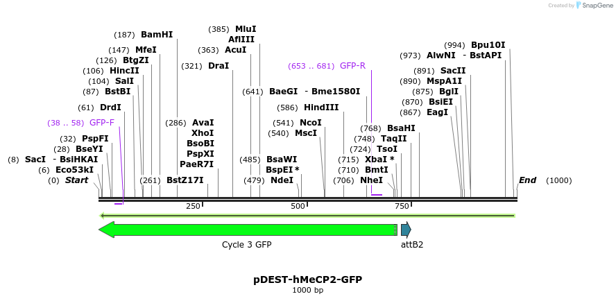 82906_map