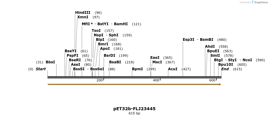 8291_map