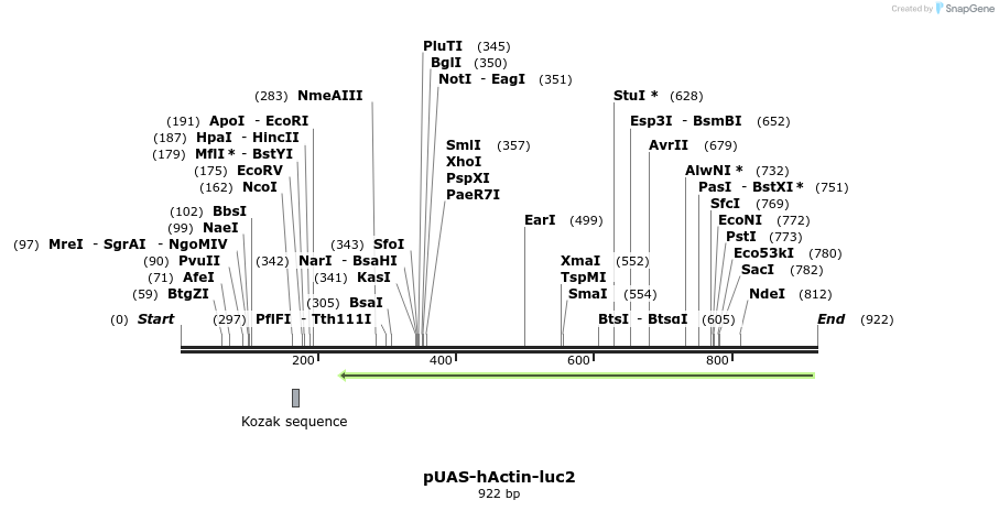 82923_map