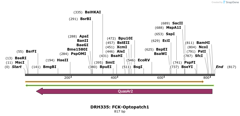 82924_map