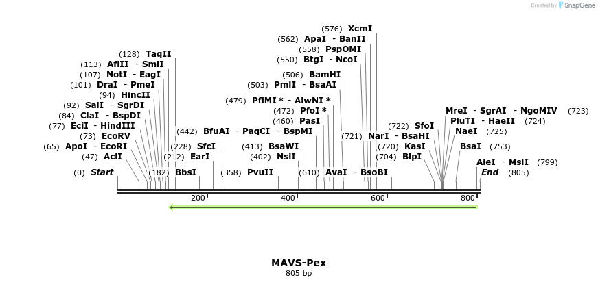 82925_map
