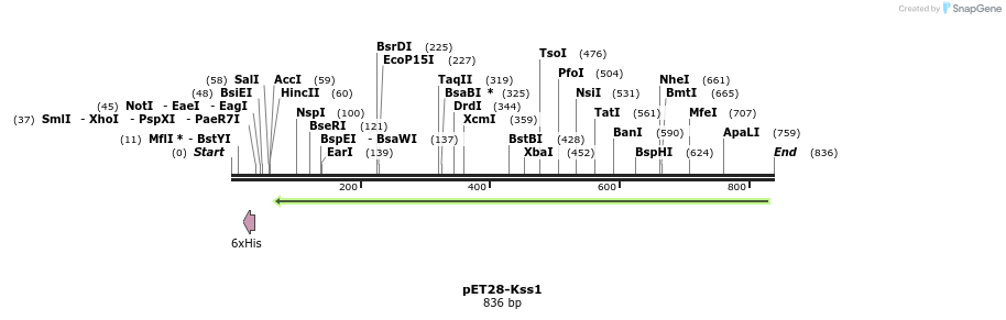 82927_map