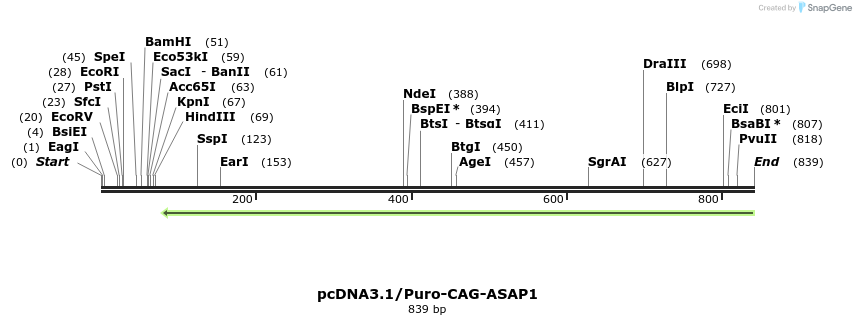 82939_map