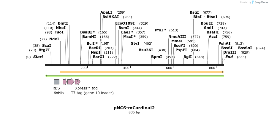 82941_map