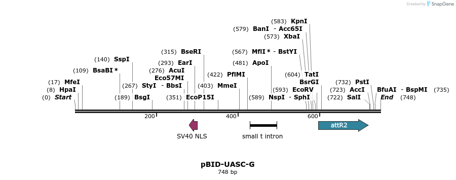 82945_map