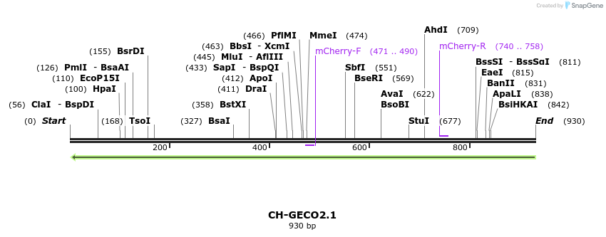 82949_map