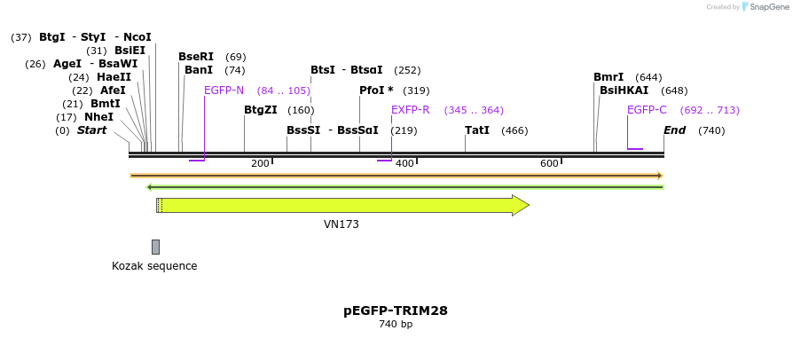 82960_map