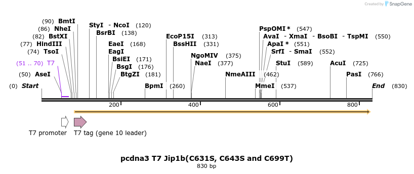 82971_map